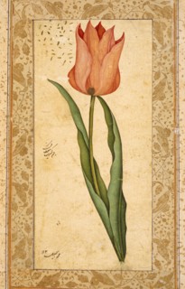 Tulip, 1708-1709/1120 A.H.. Creator: Unknown.