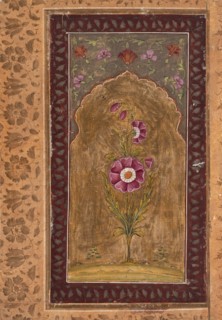 A Flower Study, between 1700 and 1725. Creator: Unknown.
