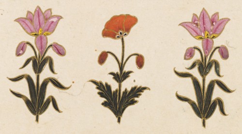 Pink lilies and red poppy motif, Folio from the Small Clive Album, Dated 1674-1675. Creator: Unknown.