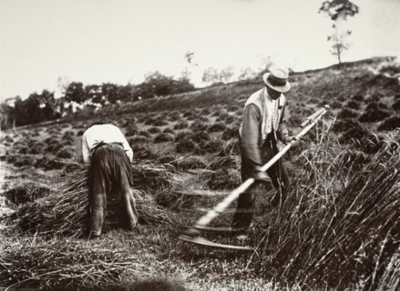Faucheurs, Somme, 1890s, (1956). Creator: Eugene Atget.