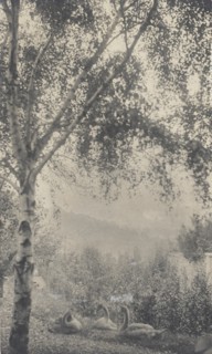 Rodin's Garden, c.1893. Creator: Gertrude Kasebier.