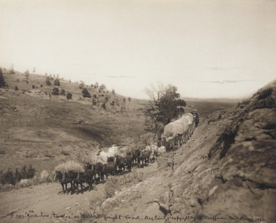 Jerk-line 12, on the Old Freight Road, Milestone, Montana, 1883. Creator: Laton Alton Huffman.