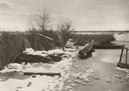 The First Frost, 1886. Creator: Peter Henry Emerson.