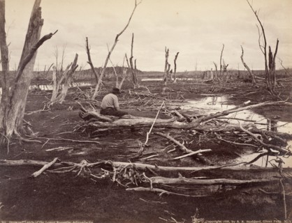 Drowned Lands Of The Raquette Lake, Printed 1888. Creator: Seneca Ray Stoddard.