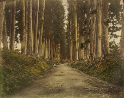 View of Imaichi, 1865. Creator: Unknown.