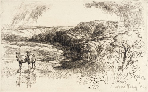 Encombe Woods, No. II, 1882. Creator: Francis Seymour Haden.