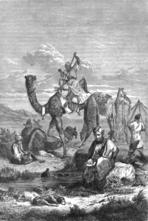 'Caravan Reposing, in the Hauran; The Stone Towns of Central Syria, otherwise called..., 1875. Creator: Unknown.