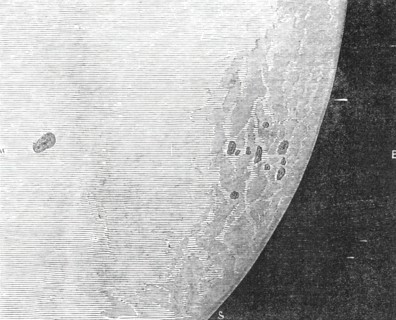 Remarkable faculae and spots seen on the Sun on the 19th and 20th of July, 1860. Creator: Unknown.