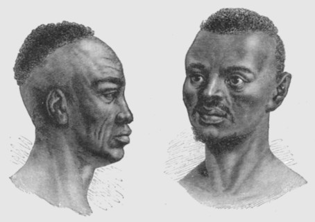 'Types of Nyam-Nyam; Dr. G. Schweinfurth's recent expedition to the Nyam-Nyam district..., 1875. Creator: W. F Kirby.