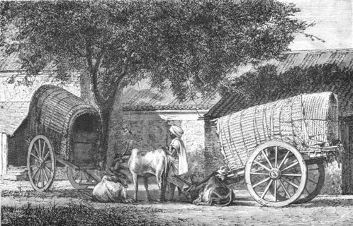 ''Hindoo Travelling Cars; Notes on the Indian Wolf, "Canis Pallipes."', 1875. Creator: Charles Horne.