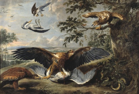 Fight between Eagles, mid-17th century. Creator: Workshop of Pieter Boel.