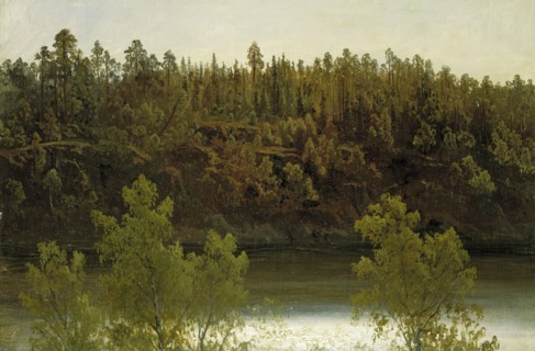 Swedish Lake. Study, 1853. Creator: Markus Larsson.