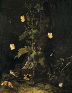 Serpent and Butterflies in the Woods, mid-17th century. Creator: Otto Marseus van Schrieck.