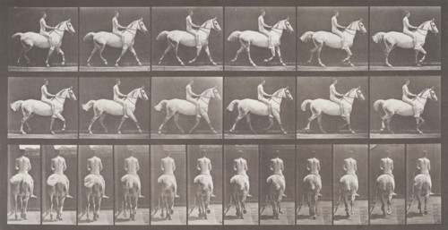 Smith Trotting Bareback, Printed 1887. Creator: Eadweard J Muybridge.
