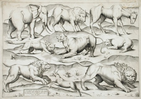 Sheet of Animals, 1547. Creators: Antonio Lafreri, Enea Vico.