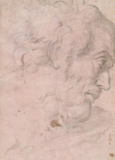 Head of A Bearded Man, between 1596 and 1641. Creator: Giovanni Angelo Canini.