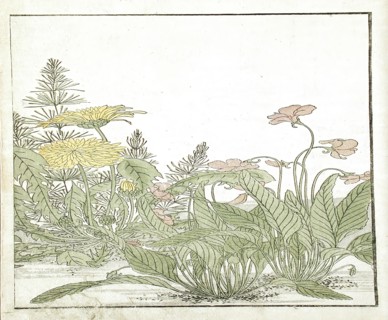 A Mirror of Competing Beauties of the Green Houses (image 20 of 20), 1776. Creators: Shunsho, Kitao Shigemasa.