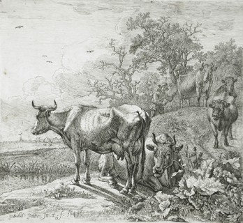 View of a Meadow, 1649. Creator: Paulus Potter.