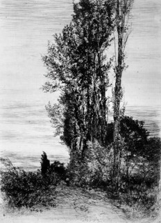 Poplars, c1898. Creator: Peter von Halm.