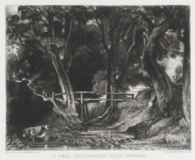 A Dell, Helmingham Park, Suffolk, 1830. Creator: David Lucas.