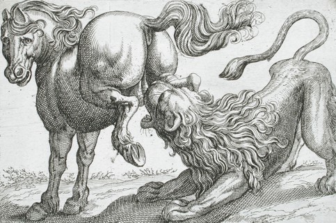 A Horse Kicking a Lion, 1610. Creator: Hendrick Hondius I.