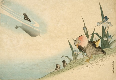 Mandarin Ducks, 19th century. Creator: Hokusai.