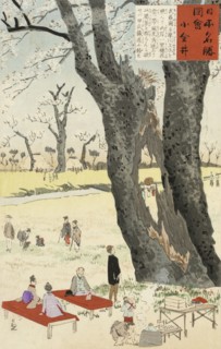 Koganei, Cherry Blossoms, 1896. Creator: Kobayashi Kiyochika.