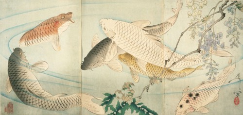Carp with Wisteria, c1889. Creator: Tsukioka Yoshitoshi.