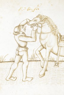 Man with horse, c1490.  Creator: Unknown.