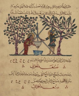 Single Leaf from the Arabic Version of Dioscorides' De materia medica, Rajab 621 AH/AD 1224. Creator: Unknown.