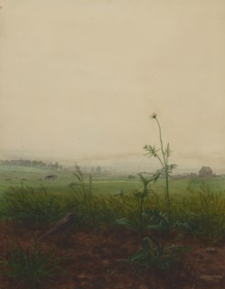 Blackbird and Scabious in front of a Landscape, 1864. Creator: Leon Bonvin.