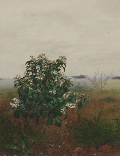 Flowering Laurustinus in front of a Landscape, 1864. Creator: Leon Bonvin.