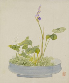 Leaf from Album Depicting Birds, Flowers, Landscapes, and Flower Pots, 1876. Creator: Yoshizawa Setsuan.
