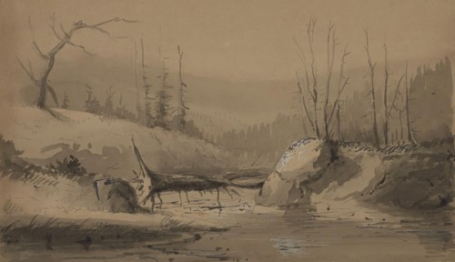 Stream with a Fallen Tree, mid 19th century. Creator: Alfred Jacob Miller.