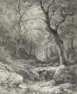 Forest Scene, second half 19th century. Creator: Paul Weber.