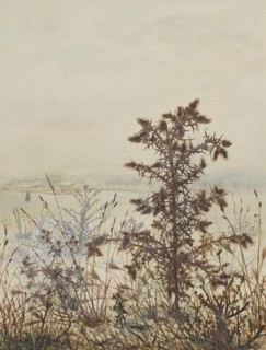 Thistle in front of a Winter Landscape, 1864. Creator: Leon Bonvin.