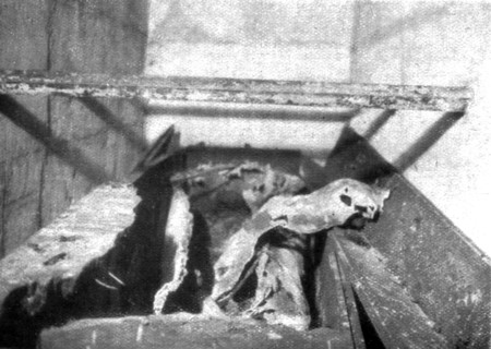 'L'Arret du repli allemand; Le plus odieux pillage: cercueils fractures et vides de leurs cendres da Creator: Unknown.