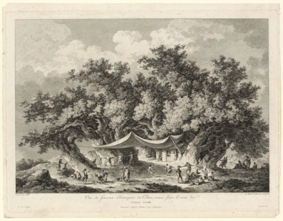 View of the Famous Chestnut Tree of Mount Etna, called Centum Cavalli, 1784/86. Creators: François Allix, H. G. Bertaux.