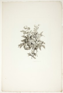 Bouquet with Peonies, from Collection of Different Bouquets of Flowers..., published July 4, 1760. Creator: Pierre-Charles Canot.