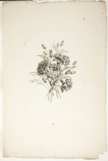 Bouquet with Carnations, from Collection of Different Bouquets of Flower..., published July 4, 1760. Creator: Pierre-Charles Canot.