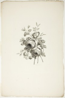 Bouquet with Roses, from Collection of Different Bouquets of Flowers, In..., published July 4, 1760. Creator: Pierre-Charles Canot.