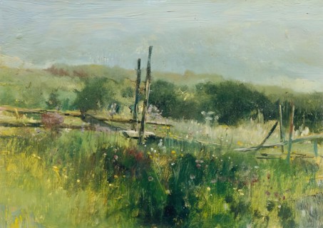 Meadow with fence, c1870/1880. Creator: Johann Till.