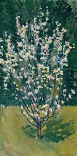 Blooming small tree, 1913. Creator: Koloman Moser.
