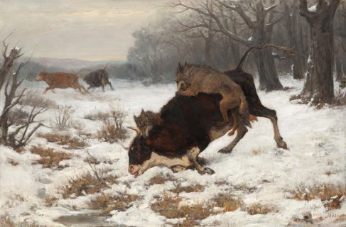A cow is attacked by wolves, before 1872. Creator: Otto von Thoren.