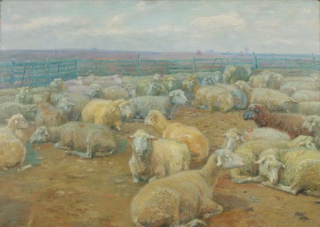 Sheep Park, 1904. Creator: Rudolf Konopa.