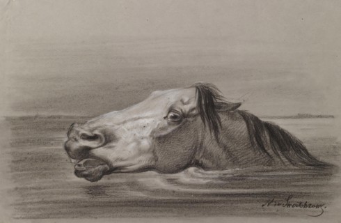 Head of a Swimming Horse, c1865. Creator: Nicolai Egorovich Sverchkov.