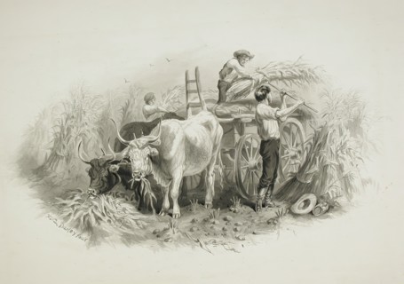 Haying Scene, 19th century. Creator: Felix Octavius Carr Darley.