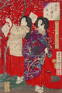 Wood for the Plum Tree, 1878. Creator: Tsukioka Yoshitoshi.