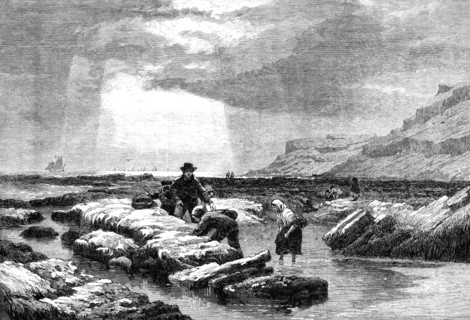Crab-Catchers, by E. Duncan, from the exhibition of the Water-Colour Society, 1861. Creator: Unknown.