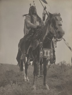 Bird On the Ground, 1908. Creator: Edward Sheriff Curtis.